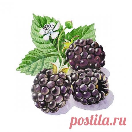 Динара Андержанова