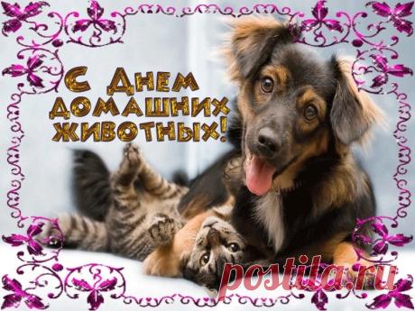 С днем домашних животных! Желаю, чтобы ваш питомец дарил вам только радость, а его проделки вызывали улыбку. Пусть его здоровье будет крепким, шерстка блестящей, а настроение всегда игривым. Пусть ваша дружба будет полна понимания, тепла и веселья. Открытки на День домашних животных!