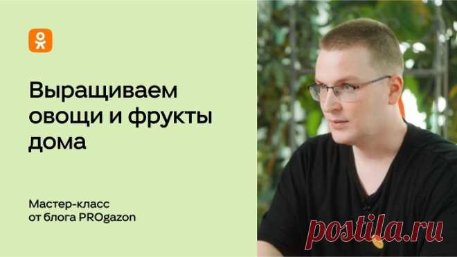 Мастер-класс об урбанистическом садоводстве