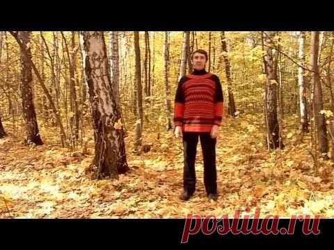 Дыхательная гимнастика Стрельниковой - видео упражнения