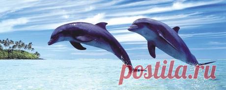 Храм Дельфинов.