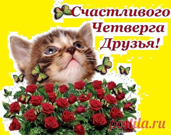 Феликс Царикати — Два капучино