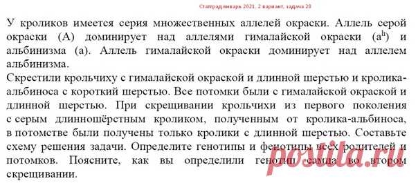 РЕШЕНИЕ ЗАДАЧИ ПО ГЕНЕТИКЕ ИЗ 2 ВАРИАНТА СТАТГРАДА (ЯНВАРЬ 2021)  Задача на множественный аллелизм
 МНОГО ГЕНЕТИКИ: https://vk.com/wall481952692_5492

 УСЛОВИЕ ЗАДАЧИ:
У кроликов имеется серия множественных аллелей окраски. Аллель серой окраски (А) доминирует над аллелями гималайской окраски (ah) и альбинизма (а). Аллель гималайской окраски доминирует над аллелем альбинизма.
Скрестили крольчиху с гималайской окраской и длинной шерстью и кролика-альбиноса с короткий шерстью...