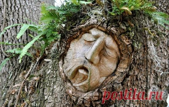 Цветочный гороскоп по дате и месяцу рождения: весенние и летние даты рождения . Милая Я