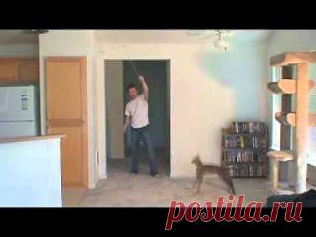 ▶ кошки Ашера - YouTube