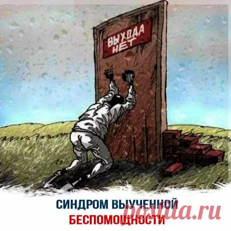 Синдром выученной беспомощности, почему многие люди не могут изменить свою жизнь к лучшему?
Ученые-психологи М.Селигман и С.Майер описали синдром выученной беспомощности. Эксперимент проводился при участии собак, животное помещали в клетку, где она подвергалась периодическим ударам тока, и не могла избежать их. Позже животное перемещали в место где был выход, и собака могла перепрыгнуть и сбежать...
Читай дальше на сайте. Жми подробнее ➡