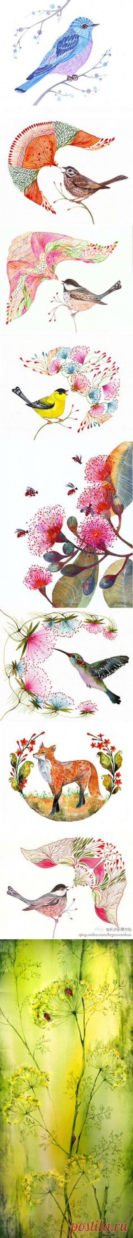 Hedvábí в Pinterest