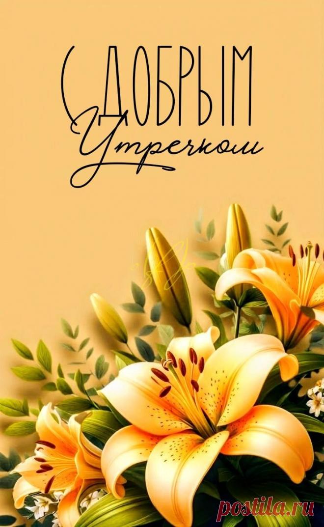 С добрым утром Привет Здрасте