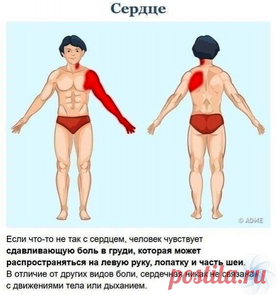 ΚРАТΚИЙ ИΗСТРУΚТАЖ ΠО ΗАШΕΜУ ТΕЛУ: ЧТО ЭТО БОЛИТ