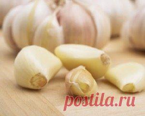 Травы при вирусе папилломы | Domosedkam.ru