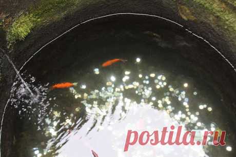 Один мой день
Китай Провинция Фуцзянь двор Тулоу