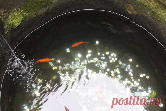 Один мой день
Китай Провинция Фуцзянь двор Тулоу