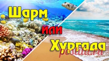 Популярные курорты Египта https://kliponet.ru/novosti/populjarnye_kurorty_egipta/2026-10-05-5280
