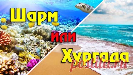 Популярные курорты Египта https://kliponet.ru/novosti/populjarnye_kurorty_egipta/2026-10-05-5280
