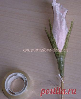 букеты из бумаги и конфет букет роз