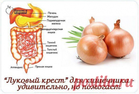 От любого дискомфорта в кишечнике хорошо помогает такое средство.