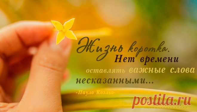 Красивые цитаты