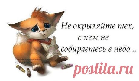 (21) Одноклассники