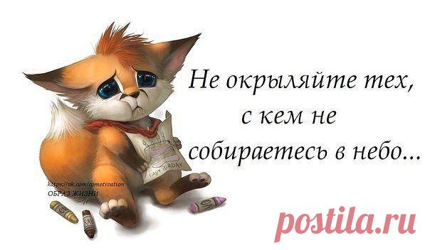 (21) Одноклассники