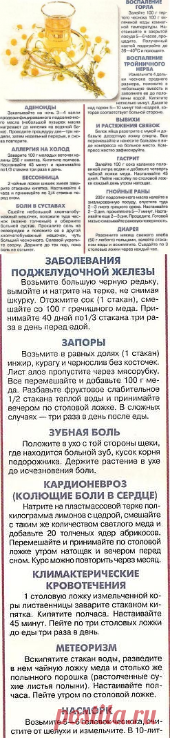 ЗАБЫТЫЕ РЕЦЕПТЫ