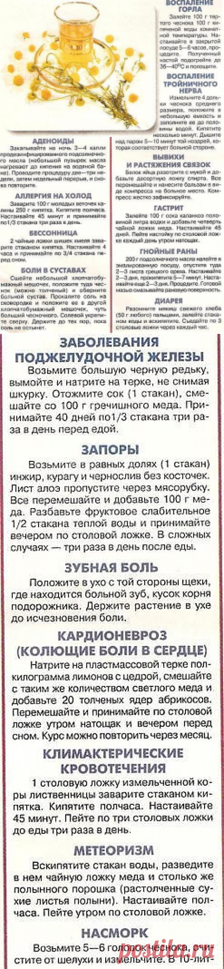 ЗАБЫТЫЕ РЕЦЕПТЫ