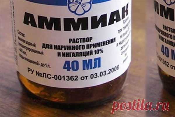 9 способов применения нашатырного спирта, о которых вы не знали / Домоседы