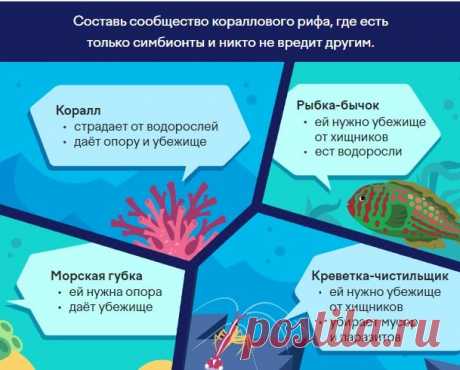 Ответы на олимпиаду учи.ру: Наука вокруг нас 2023 Осенняя олимпиада учи.ру для 1-9 классов проходит с 17 октября по 13 ноября 2023 года. Вопросы олимпиады составлены по естественным наукам и помогает