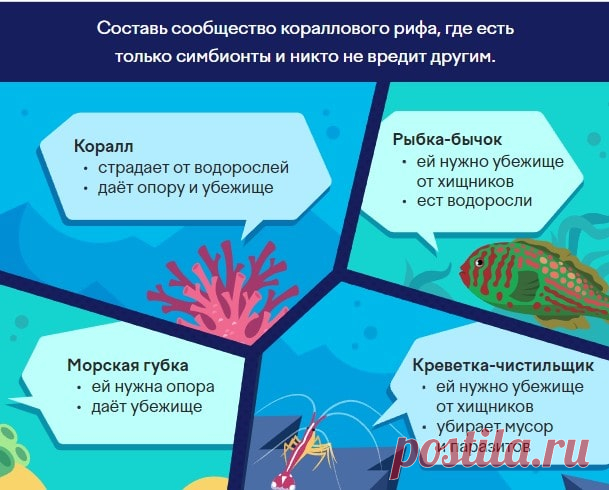 Ответы на олимпиаду учи.ру: Наука вокруг нас 2023 Осенняя олимпиада учи.ру для 1-9 классов проходит с 17 октября по 13 ноября 2023 года. Вопросы олимпиады составлены по естественным наукам и помогает