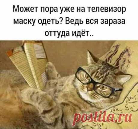Красивая женщина лишит вас всего постепенно, роскошная - моментально, а умная - незаметно - РЖАКА - медиаплатформа МирТесен Ошибся номером, ору в трубку: - Ну ты блин где? Сколько тебя можно ждать! ? Незнакомый женский голос отвечает: - Да не ори ты так, сейчас приеду... А ты блин кто? — Привет Танюшка! Чем занимаешься? — Да мне вчера муж сказал, что между нами нет искры. Купила электрошокер. Сейчас жду, когда он