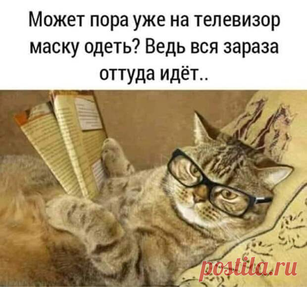Красивая женщина лишит вас всего постепенно, роскошная - моментально, а умная - незаметно - РЖАКА - медиаплатформа МирТесен Ошибся номером, ору в трубку: - Ну ты блин где? Сколько тебя можно ждать! ? Незнакомый женский голос отвечает: - Да не ори ты так, сейчас приеду... А ты блин кто? — Привет Танюшка! Чем занимаешься? — Да мне вчера муж сказал, что между нами нет искры. Купила электрошокер. Сейчас жду, когда он