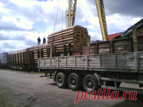 Покупка. продажа леса
пиловочный.
Доска.брус.строительные материалы.
https://vk.com/club72725806
https://special-service.info/listings/4--
https://www.odnoklassniki.ru/group/53180123381877