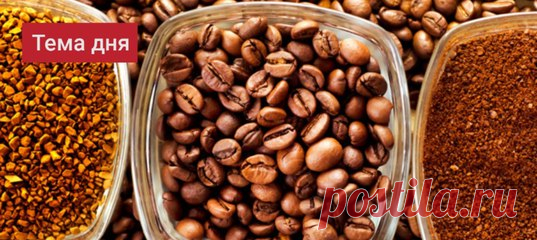 #спецпроект_РК #кофе 
Зерновой, растворимый, молотый в растворимом, капсульный… Как разобраться в разнообразии видов и остановиться на варианте, оптимальном для вас? Определиться с выбором поможет эксперт в рамках спецпроекта 