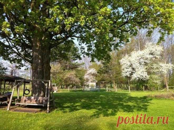 Шикарный вид заднего двора | ВСЁ ДЛЯ ДОМА