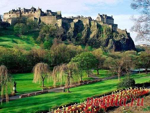 Ольга Миронова – Google+