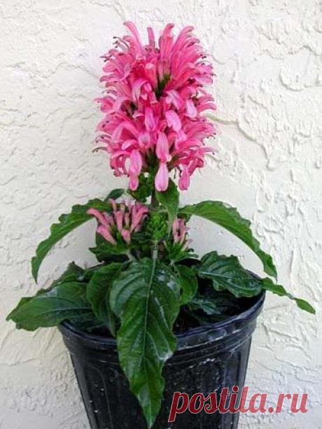 Новости.Юстиция.