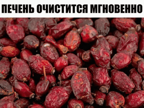 Очищение печени шиповником. 
Еще один простой и эффективный народный способ очистки печени – шиповником. Берем две горсти сухих ягод шиповника, кладем их в термос и заливаем 0,5 литра горячей воды. 
Настаиваем около 12 часов, наливаем настой шиповника в стакан, тщательно размешиваем в нем 3 столовые ложки ксилита, либо сорбита. 
Выпиваем смесь залпом с утра натощак, через 20 минут стараемся выпить еще стакан чистого настоя шиповника. Завтракать можно только через час после употребления данной