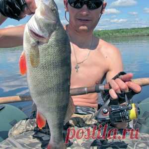 Спиннинг. Первые шаги - МирТесен