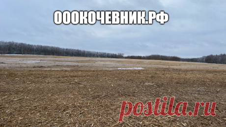 ООО «Кочевник» оказывает услуги с 2014 года для коммерческих и государственных предприятий.

ООО «КОЧЕВНИК» - с 2014 года осуществляем вырубку, выкорчевку, утилизацию,пересадку деревьев и кустарников, попадающих в зону строительства, вводим заросшие сельскохозяйственные земли в сельхоз оборот, обслуживаем инфраструктурные объекты. 8-925-575-59-29