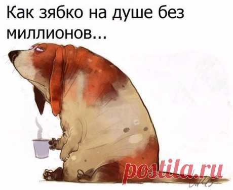 Женский Юмор