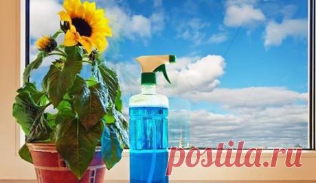 Интересные новости