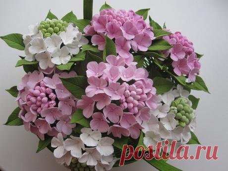 (53) Одноклассники