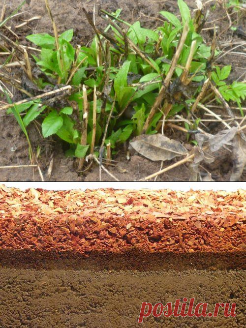 Весенние работы на даче