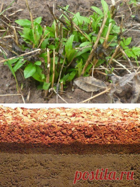 Весенние работы на даче