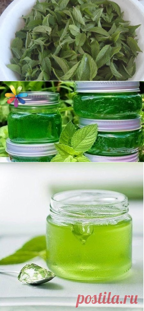 2 непрочитанных чата