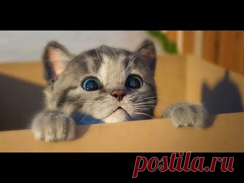Нарезка приколов с Животными. №9. СЕНТЯБРЬ 2019.