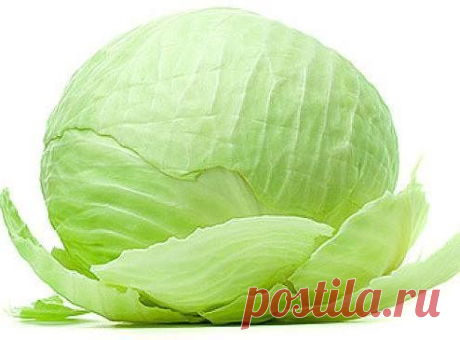 КАПУСТА ОТ КАШЛЯ