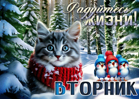 Фантастическая гиф-открытка, радуйтесь вторнику и жизни