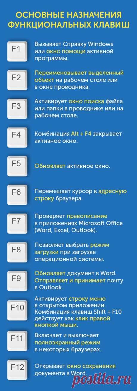 28539265-47872805-183842-0-1481617007-1481617014-0-1481719185-0-1481815088-1481815095-0-1482139016-0-1482151044-1482151050-650-39-1488295420-650-32e9147584-1488457610.jpg (650×1853)