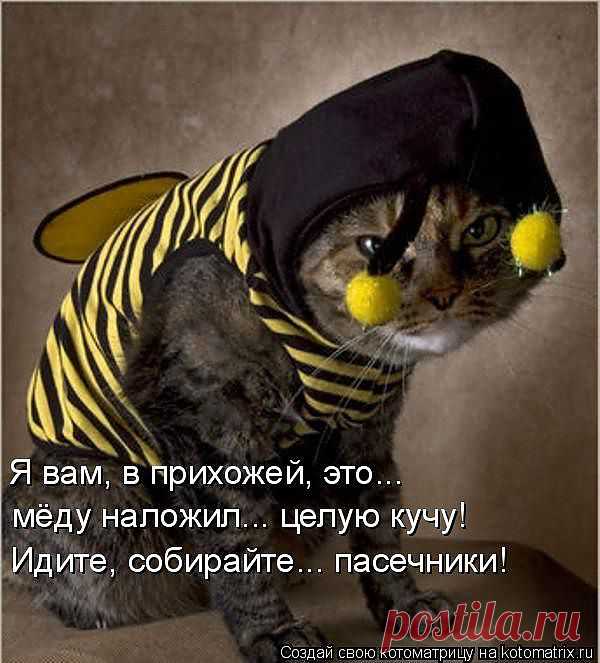 719278.jpg (изображение «JPEG», 600x663 пикселов) - Масштабированное (92%)