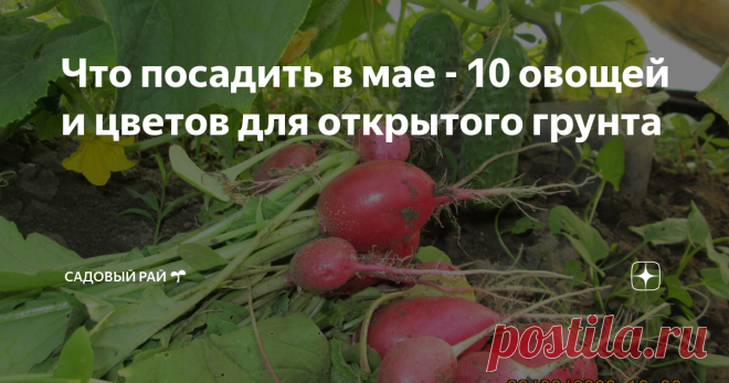 Что посадить в мае - 10 овощей и цветов для открытого грунта Культуры которые пора сеять или ещё не поздно!
Приветствую вас на канале «Садовый рай 🌱»!
Сегодня моя публикация будет интересна и полезна дачникам, которые проживают в средней полосе России. Речь пойдет о том, что можно посадить и что ещё не поздно посеять на участке в мае месяце в регионах с умеренно континентальным климатом.
Для начала – важный совет: не спешите с посадкой теплолюбивых